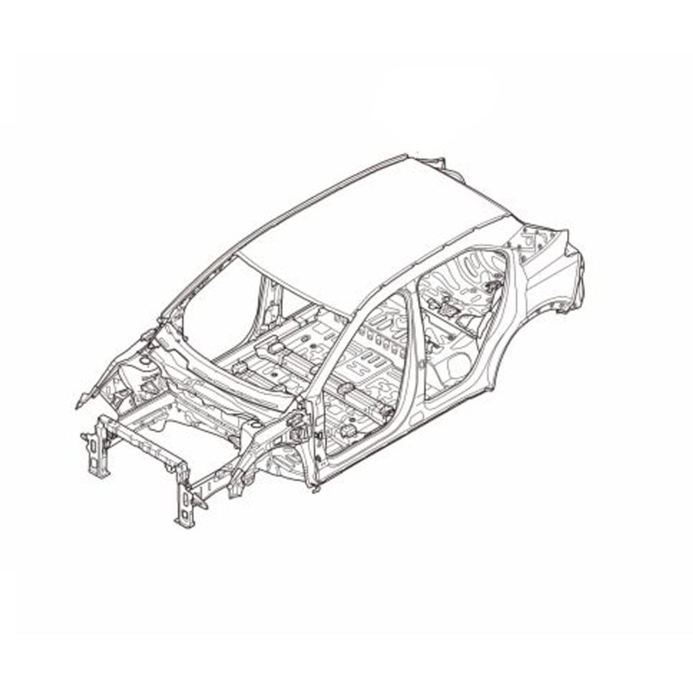 Body Skeleton