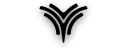 neta brand