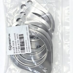 SEALING GASKET D1203-00100048